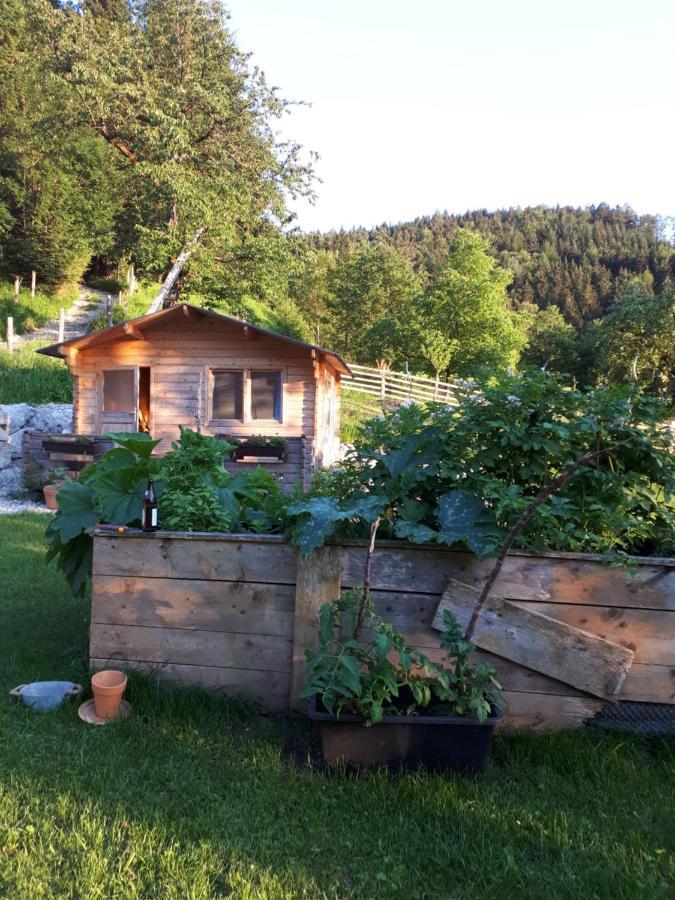 Landhaus Ziegelstadel Windischgarsten Zewnętrze zdjęcie